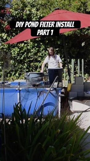 Big DIY Pond Filter Install Part 1 #diy #pondfilter #poolpond #pond #diypond