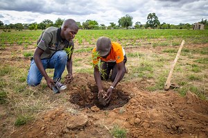 Irrigation system transforms a community in Zimbabwe