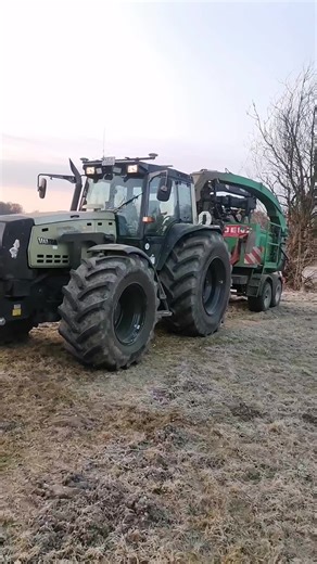 Holz hacken: Ein neuer Abschnitt beginnt