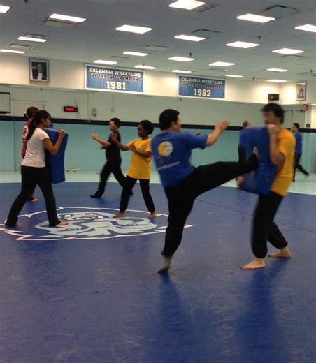 Moy Yee Kung Fu Club
