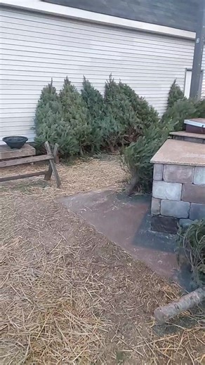 Weekly check in. Since Wednesday is Christmas Eve, we must likely won't be live in the afternoon. | St Pauls United Methodist Church