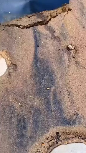 Wait for End Finding Gold Funny #viralvideochallenge #funnyvideos #virals #toonme #reelschallengereelschallenge #reelschallengereelschallenge #travelphotography #travel #anime #funnyvideos #fun #viralreels #reels #viral2025 | Fun, Travel & Toons