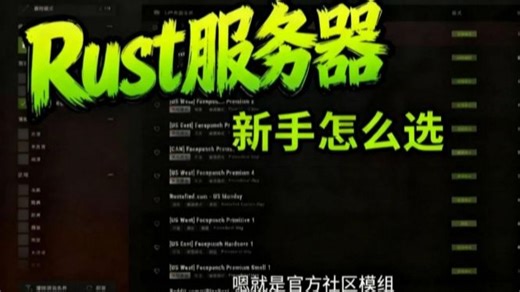 Rust怎么选择服务器