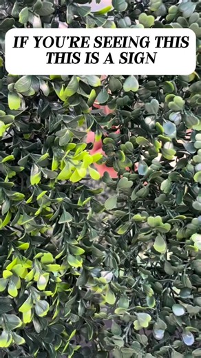 If you’ve been waiting for a sign to build a pool… this is it! ✨ Emerald is here to help bring your dream backyard to life and walk with you through every step of the journey. Let’s get started, contact us at the link below!  https://emeraldcustompools.com/contact/ #EmeraldCustomPools #PoolGoals #DreamBackyard #OutdoorLiving #LuxuryPools #CustomPoolDesign #BackyardInspo #EmeraldExperience | Emerald Custom Pools | Facebook