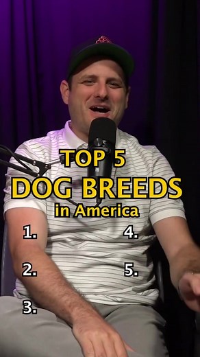 Top 5 Dog Breeds in America 2026 — Most Popular Dogs