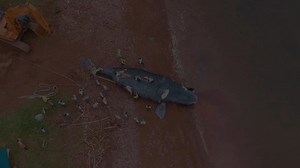 ENTANGLED is an award-winning, feature-length film about how climate...