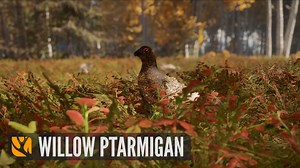 Say hello to the Willow Ptarmigan, coming to theHunter: Call of the Wild and Revontuli Coast! Closely related to grouse, this species of game bird lives in the arctic and subarctic regions of Northern Eurasia and North America. It is the largest living species of Ptarmigan. The Willow Ptarmigan are territorial by nature and can be found across habitats such as tundra and forests, depending on their locality. The adults are herbivorous and change their diet throughout the year. | TheHunter: Call 