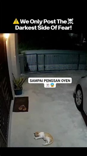 Depth Of Scare - The Darkest Corners of Fear on Instagram: "👁️ Horror Clips Caught on Camera – Part 37 "The Technician’s Home Recording..." 🎥😨 After the incident with the melted SD card, technician Mark Levin went home early — shaken but curious. He couldn’t stop thinking about the whispers he heard in the footage. So, he decided to record his screen that night, trying to recover any remaining fragments from the damaged card. At 2:58 AM, his laptop screen flickered on its own. The recovery so