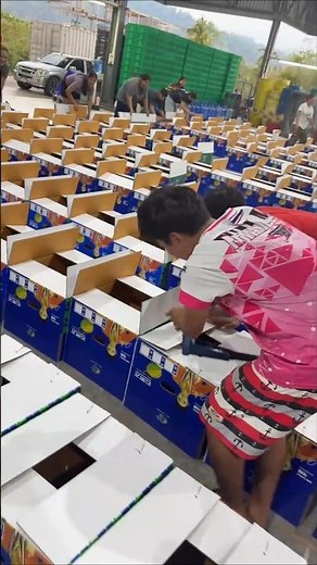 Fast Cardboard Box Assembly – High-Speed Manual Packing Process