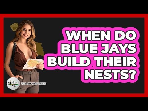 When Do Blue Jays Build Their Nests?