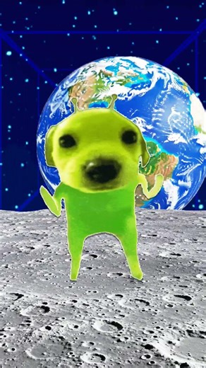 #funny #alien dog #memes