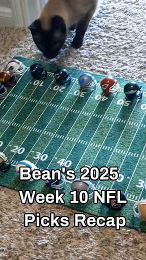 1.4K views · 17 comments | Let's take a look at how Bean did picking games for Week 10 of the NFL season  | Beanknowsball | Facebook