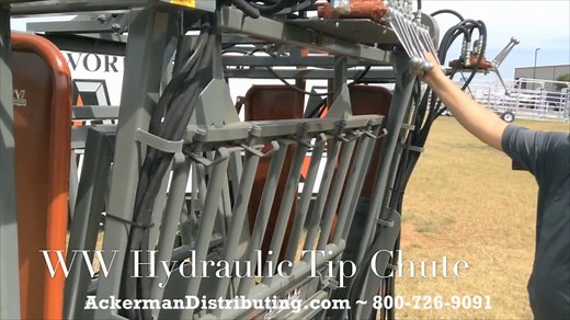 WW Ranchmaster Hydraulic Cattle Chute by WW
