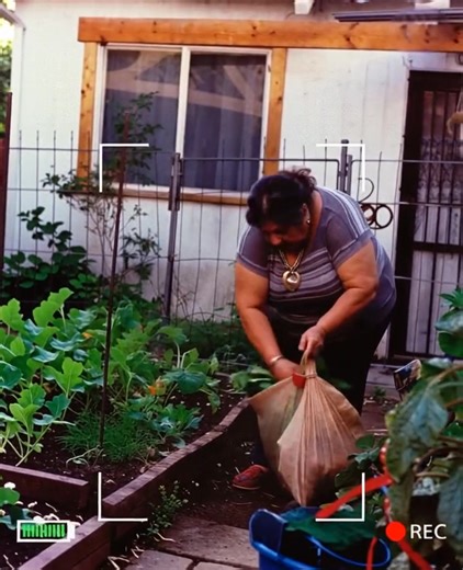 4.7K views · 14 reactions | My neighbor kept stealing vegetables and...