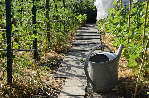 No-Till Farming Pros and Cons – Mother Earth News