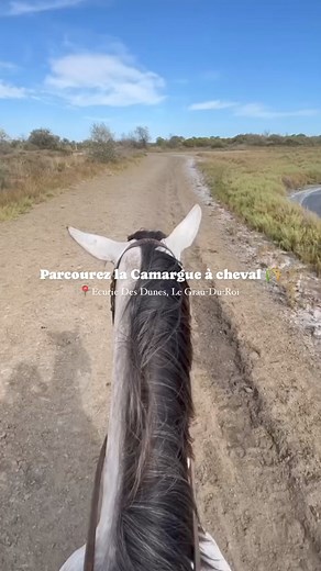 Parcourez la Camargue à cheval ! 🐴Évadez-vous au cœur de la nature sauvage de la Camargue et rejoignez-nous pour une aventure inoubliable à dos de cheval.Découvrez des paysages à couper le souffle : des plages immaculées aux marais, en passant par les vastes plaines et les dunes à perte de vue. 🌅🦩✨ Pourquoi Choisir Notre Écurie ? :▫️Chevaux Camarguais : Nos chevaux camarguais vous garantissent une balade confortable et sécurisée.▫️Paysages Variés : Traversez des plages, des marais et des dune
