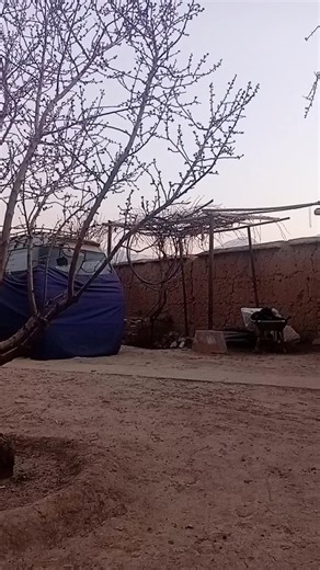 ۱ مارس ۲۰۲۶