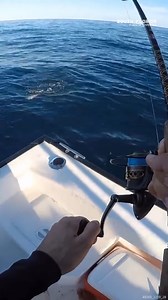 How to Catch AWESOME Fish #howtofish #fishingguide #fishingtips | South Florida Fishing Channel