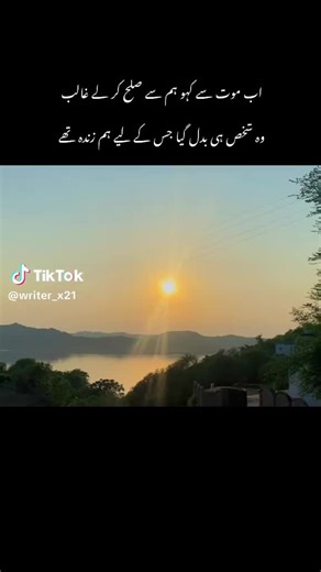 Disloyal People on TikTok