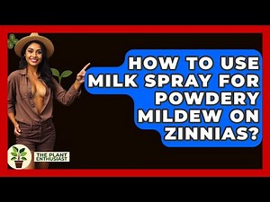 How To Use Milk Spray For Powdery Mildew On Zinnias? - The Plant Enthusiast