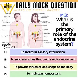 MQ: What is the primary role of the endocrine system❓ A. To interpret sensory information B. To send messages that create motor movement C. To provide structure and shape to the body D. To maintain homeostasis Drop your answer in the comments below 👇 You can join our inner circle and download tons of FREE MOCK Questions here >>> https://join.parallelcoaching.co.uk/fitness-exam-mock-questions Pass your exam with confidence using our Revision Bootcamps: Level 2 Anatomy Bootcamp here >>> https://c