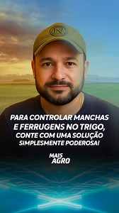 Os desafios da cultura do trigo, como ferrugem e manchas foliares, exigem cada vez mais precisão e eficácia no manejo.​ Pensando nisso, a Syngenta desenvolveu uma solução completa para auxiliar o produtor no controle dessas doenças: MIRAVIS® Xtra.​ Com tecnologia inovadora, que combina Adepidyn™, azoxistrobina e propiconazol, MIRAVIS® Xtra oferece controle duradouro e conveniência no manejo.​ MIRAVIS® Xtra. Simplesmente poderoso.​ Saiba mais sobre os benefícios dessa solução acessando o link htt