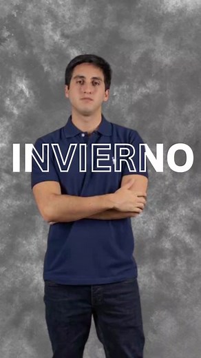 Efectos creativos en Canva para tus videos