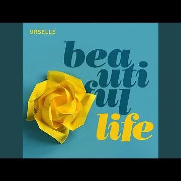 Beautiful Life (DJ Style Remix)