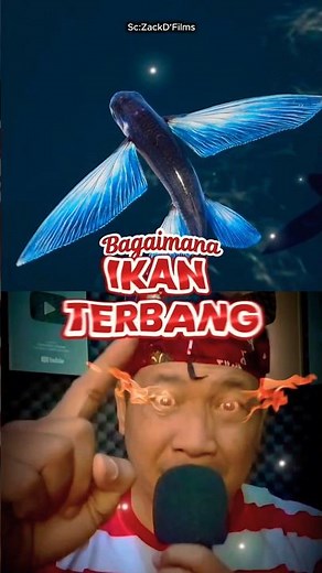 BAGAIMANA IKAN INI BISA TERBANG? #education #physics #facts #science