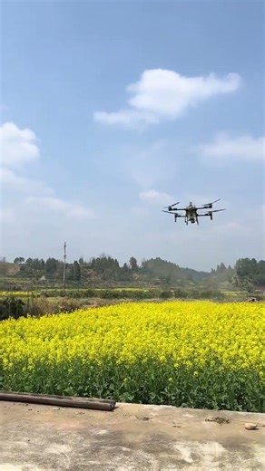 Crash That Spraying Drone! Drone Pesticide Hazards