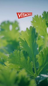 856 reactions · 6 comments | Ganhe uma road trip, com tudo incluído,...