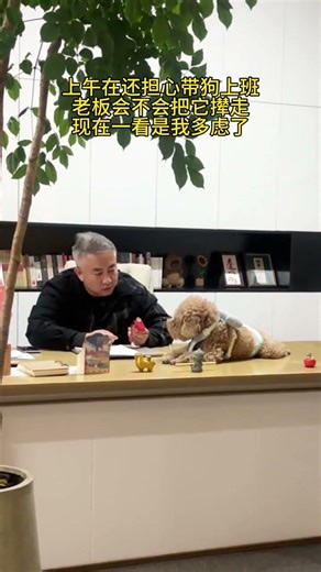 Dog at Work: Boss's Female Employees Love It