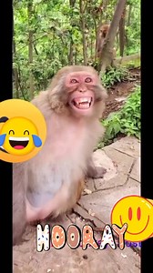 123K views · 722 reactions | Laughters Unlimited  | Channel 6 | Facebook