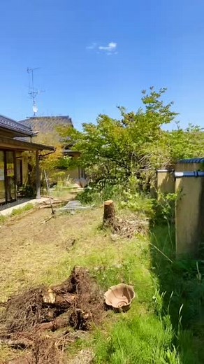 今日の動画は、抜根（ばっこん）❗️コレって知ってますか？見てみてね(^-^)v #抜根#木の根っこを抜く作業#便利屋さんの仕事#草木の作業#女社長の便利屋#山形伐採抜根#仙台伐採抜根#庄内伐採抜根