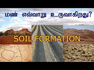 Soil Formation, Composition and Soil Profile in Tamil || 8th Social Geography Unit 1 Rocks and Soils