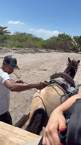 Kat Krenicky McClintock on Reels