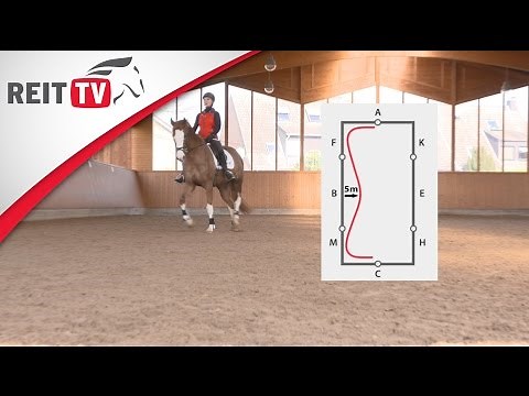 Learn to ride: Track figures - Simple serpentine line