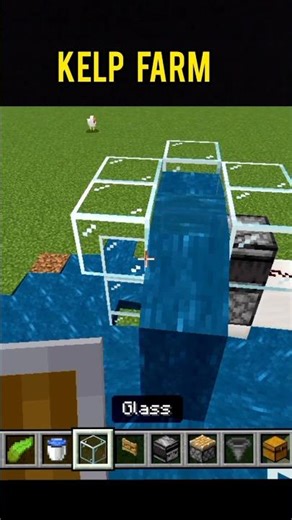 kelp farm #minecraft #farm