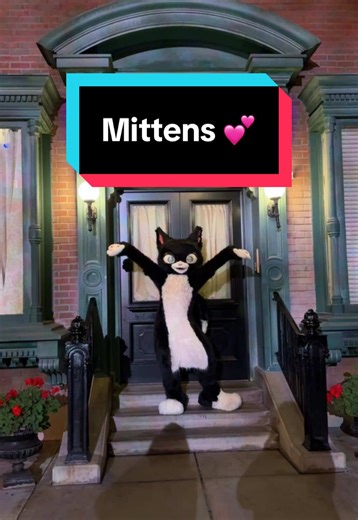 Exploring Disneyland with Iconic Characters: Mittens