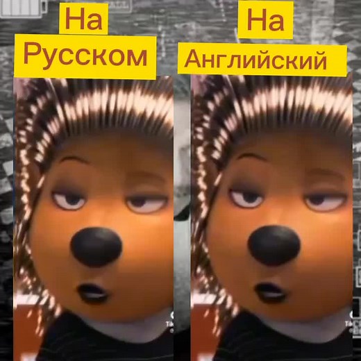 Animated Koala and Bear Characters in Emotion-Filled Scenes