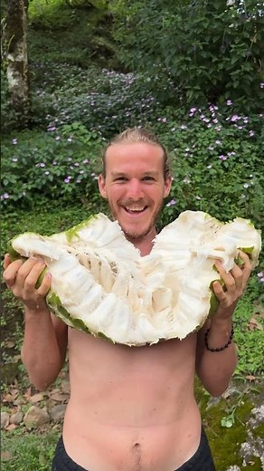 The Biggest Fruit In The World