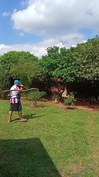 Videos de hermelinda (@her1986666) con “sonido original - Tio kele”