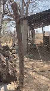 120K views · 2.2K reactions | La parota vicitenos uuuuuuu | Un rato agradable victor y su papa | Facebook