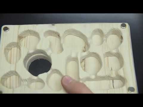 How to Make a Wooden Ant Farm - DIY tutorial