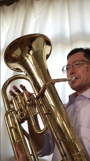Der Lindenbaum Schubert Die Winterreise D.911 (Euphonium) 菩提樹 シューベルト 歌曲集『冬の旅』より#classicalmusic