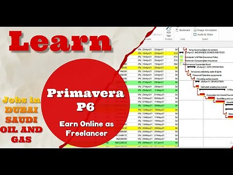 Primavera P6 Learning Tutorial for Beginners in English #PlanningEngineer