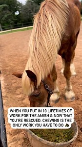 2.1K views · 210 reactions | Jack  I thought this Sunday we could...