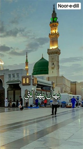 "Most peaceful and beautiful naat"💐❤️ #Naat#IslamicPoetry #PraiseOfAllah#SpiritualJourney #ZikrAllah