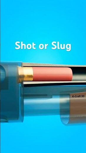 How a Shotgun shell work? #shorts #subscribe