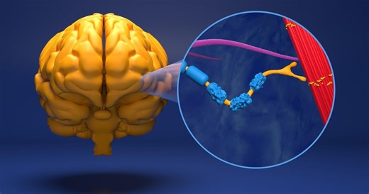 What is ALS? Here's what's known about the neurodegenerative disease